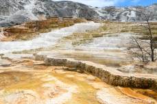 Yellowstone - Mammoth Hot Springs Terraces