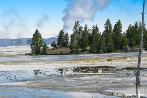 Yellowstone - Lower Geyser Basin